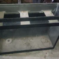اکواریوم