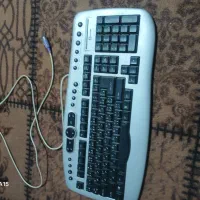 گیبورد سالم