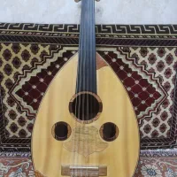عودحرفه ای