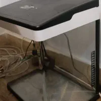 آکواریوم|ماهی|رشت, استادسرا|دیوار