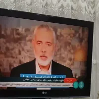 تلویزیون