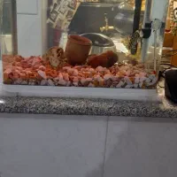 اکواریوم شرکتی باتجهیزات وماهی|ماهی|قم, نوبهار|دیوار