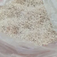 نیم دانه هاشمی