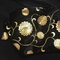 لباس|لباس|هشترود, |دیوار