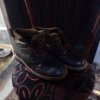 کتانی و دمبایی|کیف، کفش، کمربند|رشت, سلیمانداراب|دیوار