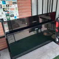 هود مورب برند یانان