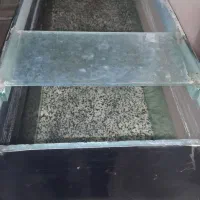 آکواریوم