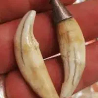 انگشتر یاقوت|جواهرات|گرگان, |دیوار