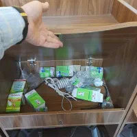 میز مطالعه میز تحریر استاندارد اصولی با کیفیت|میز تحریر و کامپیوتر|گرگان, |دیوار