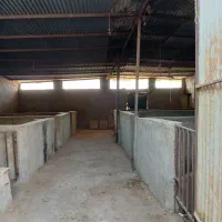 باشگاه اسب اجاره ای