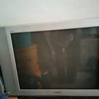 یک عدد تلویزیون ۲۹اینچ رنگی ویکی ۲۱اینچ|تلویزیون و پروژکتور|یزد, |دیوار