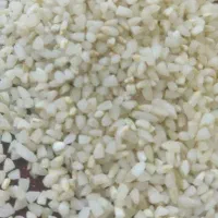 برنج سر لاشه معطر درجه یک نیم دانه عنبر بو|خوردنی و آشامیدنی|قم, پردیسان|دیوار