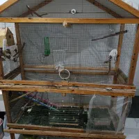 قفس و عروس پاریس