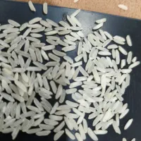 تایلندی هومالی گریدA