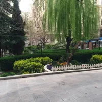 ولنجک ۱۲۵متر/بهترین فرعی / بدون مشابه|اجارهٔ آپارتمان|تهران, ولنجک|دیوار