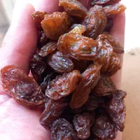 خریدوفروش عمده مویزو کشمش|عمده‌فروشی|شیراز, ارم|دیوار