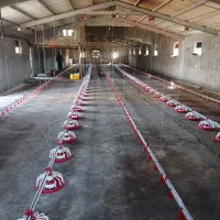 اجاره مرغداری