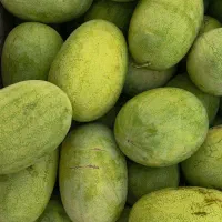 هندوانه فروش عمده، میوه، گنبد