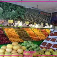 استخدام فوری آقا