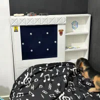 ۲تا تخت تکنفره با کمد