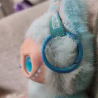 یک لبوبو تازه|کلکسیون و سرگرمی|زنجان, |دیوار