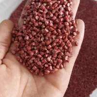 گرانول بادی بیرنگ راگا|عمده‌فروشی|کرج, حسین آباد (اکبر آباد)|دیوار