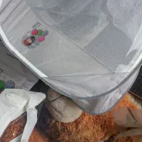 پشه بند چادرمسافرتی بزرگ و نوزادی
