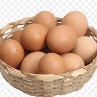 تخم مرغ محلی