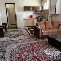 اجاره آپارتمان ۶۵ متری مناسب دانشجویان دختر|اجارهٔ کوتاه‌مدت آپارتمان و سوئیت|اردبیل, |دیوار