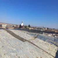 ۱۱ تا رنگه زده خوردی|پرنده|تربتحیدریه, پائین ولایت|دیوار