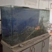 آکواریوم بزرگ با شیشه ۶میل خم جلو