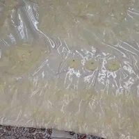 روتختی نو