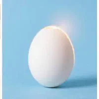 تخم‌مرغ‌سفید