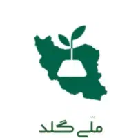 100 سوت طلا رایگان