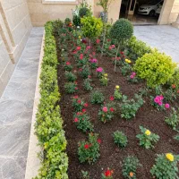 خدمات تخصصی باغبانی باغچه کاری و گل کاری