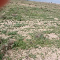 زمین-کشاورزی