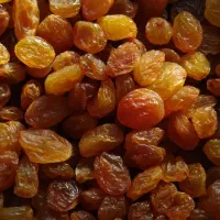 پخش کشمش به قیمت کارخانه|خوردنی و آشامیدنی|سنگر, |دیوار