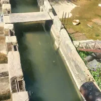 اجاره پرورش ماهی ۱۵تنی...|اجارهٔ دفتر صنعتی، کشاورزی، تجاری|الشتر, |دیوار