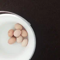 تخم‌مرغ‌محلی‌نطفه‌داردرشت‌وتازه