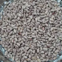 لوبیا چیتی دونوع.. گرد وکپسولی|خوردنی و آشامیدنی|دهگلان, |دیوار