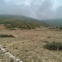 فروش زمین ۳۰۰ متری بالاده کیاسر