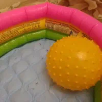 استخر آب کودکان|اسباب‌بازی بچه|تهران, طرشت|دیوار