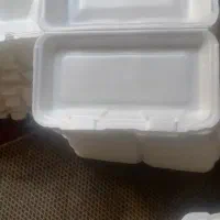 ظرف یکبار مصرف