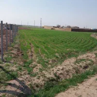 فروش زمین باغ و ویلایی ۱۶۰۰ متری در روستای آشنستان|فروش دفتر صنعتی، کشاورزی، تجاری|قزوین, |دیوار