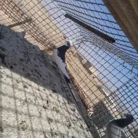 اسباب بازی|اسباببازی بچه|تربتحیدریه, مسجد جامع|دیوار