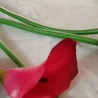 گل مصنوعی