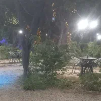 استخدام کافه