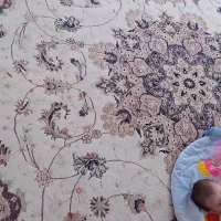 فرش ۱۲متری تمام نخ ۷۰۰شانه بخاری گازی|فرش|گلبهار, شهر جدید گلبهار|دیوار