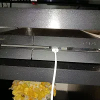 PS4 fat