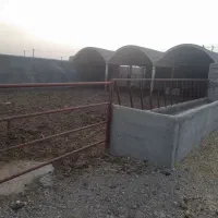 فروش گاوداری صنعتی|فروش دفتر صنعتی، کشاورزی، تجاری|فردوس (خراسان), |دیوار